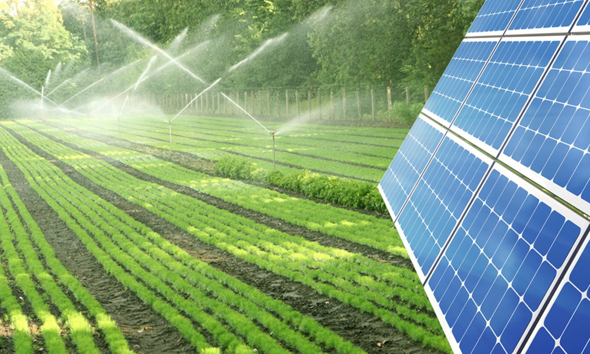Navigating the Sun: Overcoming Challenges in the Adoption of Solar Water Pumps in Pakistan 2024
